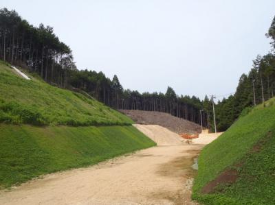 写真：日野地区