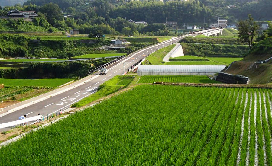 高木高向地区の農地と集落道