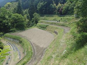 青崩地区の棚田