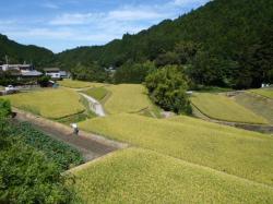 画像です。ほ場整備川上地区