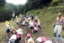 幼稚園児による芋ほり体験