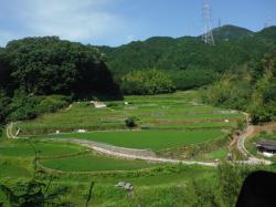 持尾地区 近景