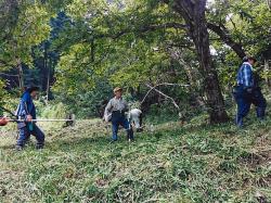 栗山の草刈り作業