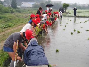 彼方小田植え