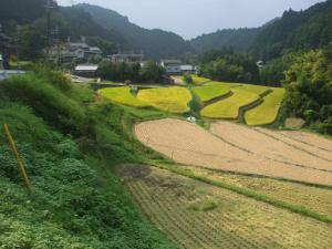 太井整備前