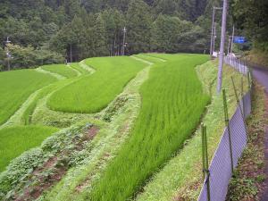 奥田井整備前