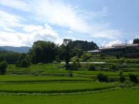 里山の風景　田植え後