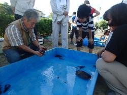 学芸員の方によるザリガニについての説明の様子