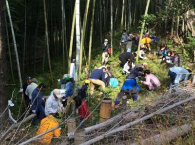 球根の植え付け