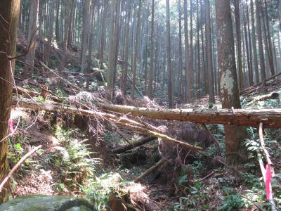 施工前の渓流の様子