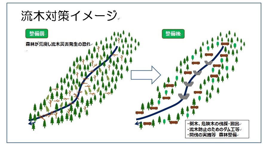 流木対策イメージ