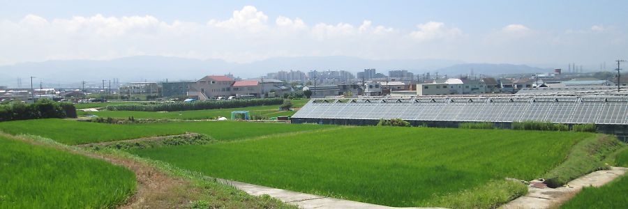 農地の風景