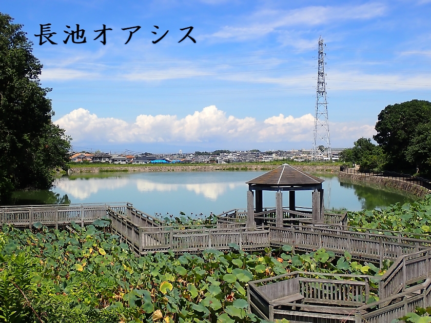 長池オアシス全景