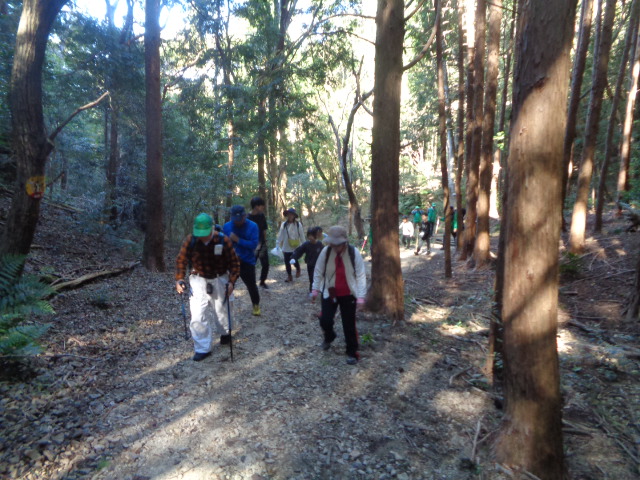 熊取町の山地美化キャンペーンにおいて参加者が山中を歩いている様子