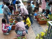 花苗の植込み作業