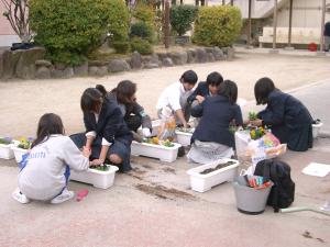 花苗植え