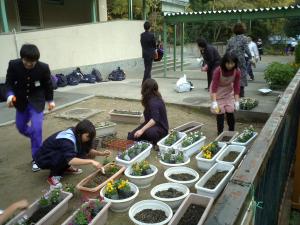 土を掘り返し花苗を植えていきました