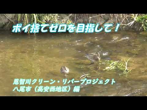 恩智川クリーン・リバー・プロジェクト八尾市（高安西地区）動画サムネイル