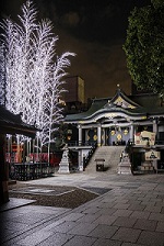 難波神社　竹琳　イメージ