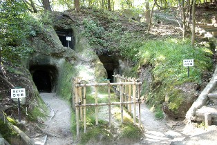 史跡高井田横穴公園