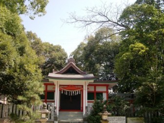 春日神社のシイの社叢の写真