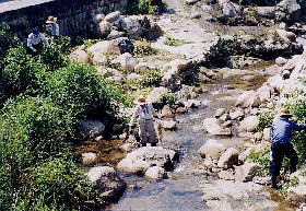 河川清掃の様子