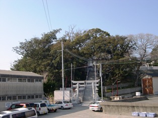 岬住吉神社のうばめがし社叢の写真