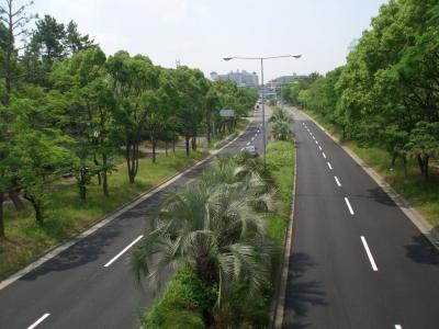 吹田箕面線の街路樹1