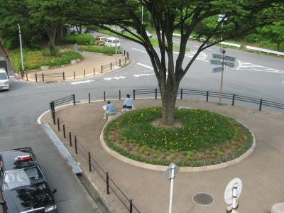 吹田箕面線の街路樹2