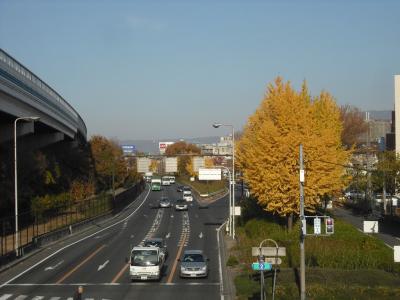 大阪中央環状線の街路樹