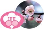 大阪の花　うめ