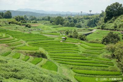 下赤阪棚田