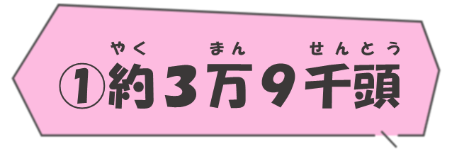 (1)約3万9千頭