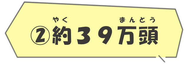 (2)約39万頭