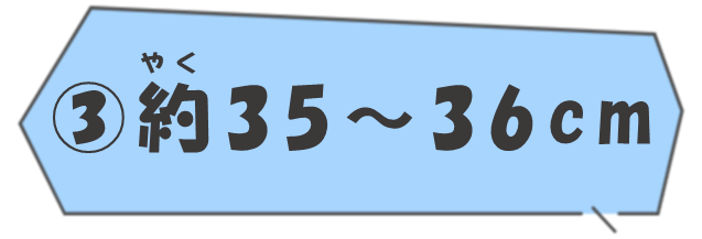 (3)約35から36cm