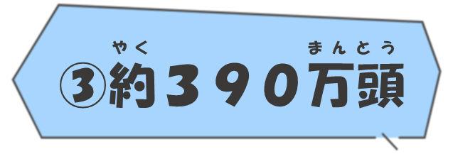 (3)約390万頭