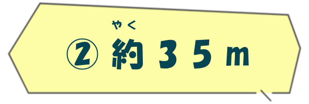 約35メートル