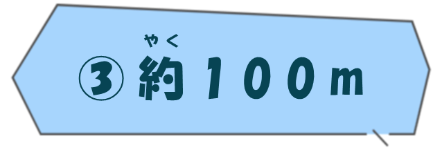 約100メートル