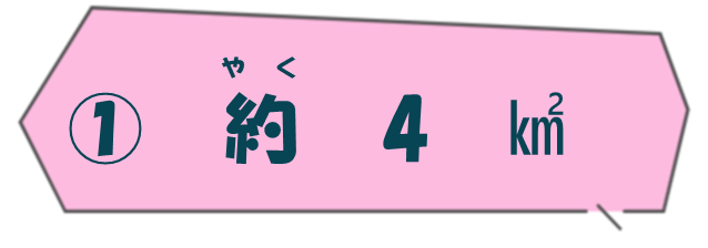 約4平方キロメートル