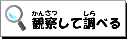 観察して調べる