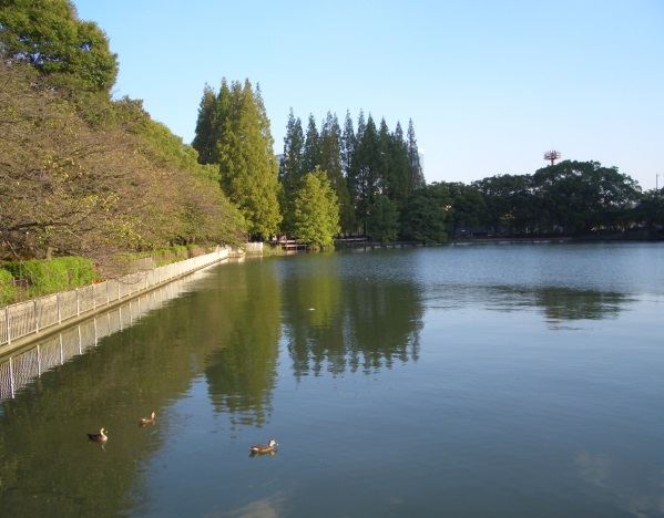 砂浜ゾーン（桜ノ宮ビーチ）整備前の写真