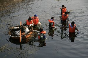 写真；川に入っての清掃活動