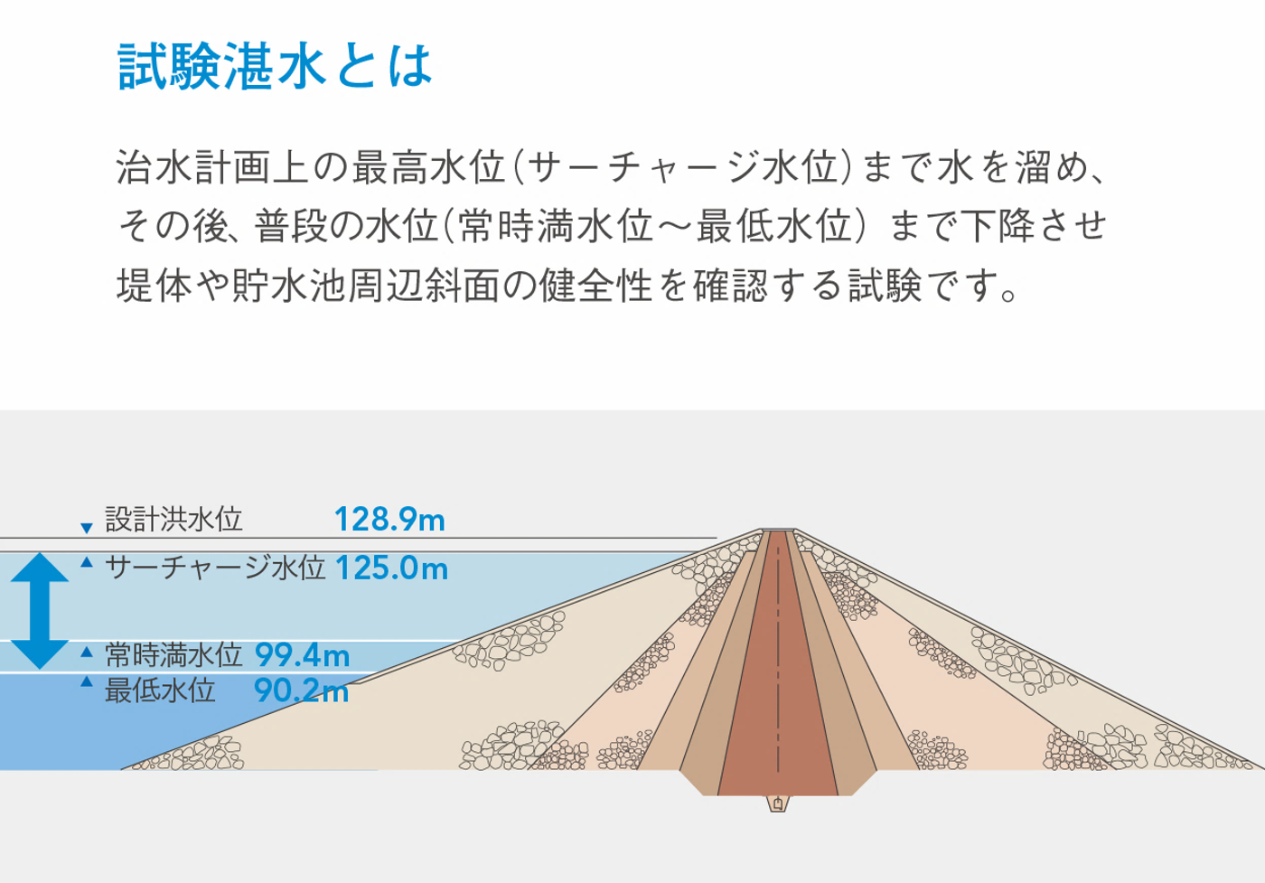 試験湛水