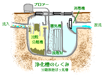 浄化槽のしくみ（断面イラスト）