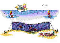 刺網漁業の絵