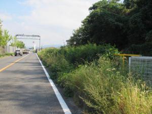 道路除草施工前