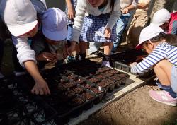 津雲台小学校の様子