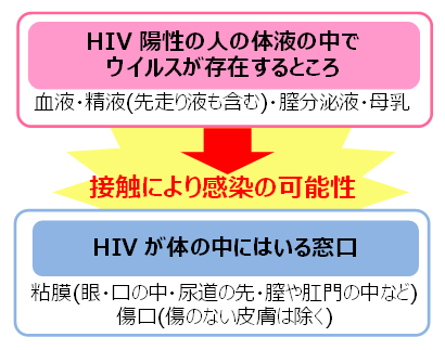 HIVの感染経路