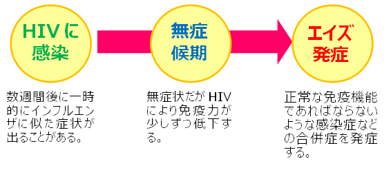 HIV感染からエイズ発症まで