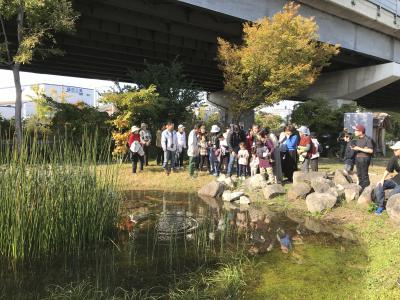 池の観察